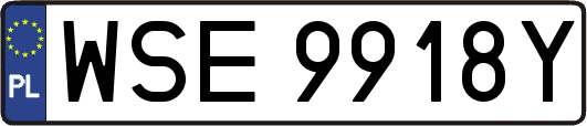 WSE9918Y