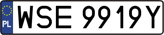 WSE9919Y