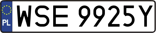 WSE9925Y