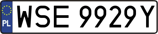 WSE9929Y