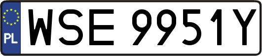 WSE9951Y