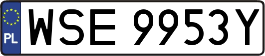 WSE9953Y