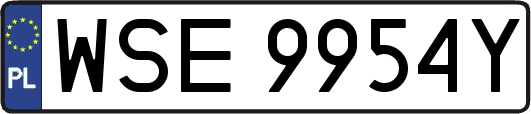 WSE9954Y
