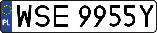 WSE9955Y
