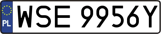 WSE9956Y