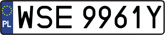 WSE9961Y