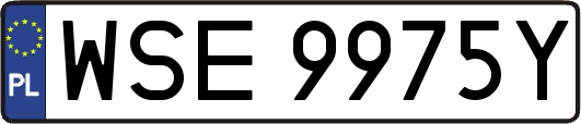 WSE9975Y