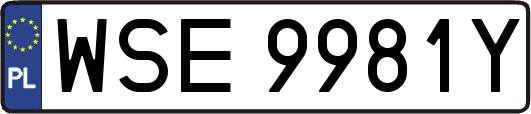 WSE9981Y