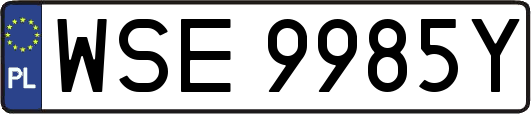 WSE9985Y