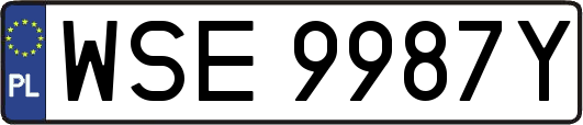 WSE9987Y
