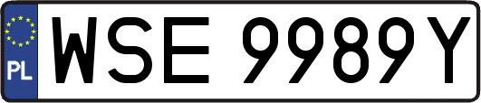 WSE9989Y
