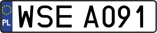 WSEA091