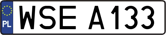 WSEA133