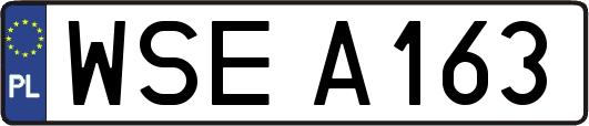 WSEA163