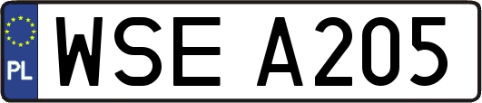WSEA205
