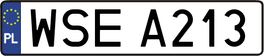 WSEA213