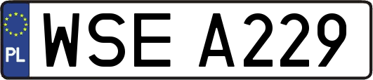 WSEA229