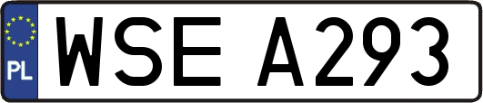 WSEA293