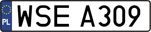 WSEA309