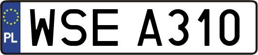 WSEA310