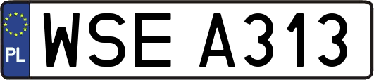 WSEA313
