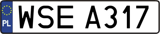 WSEA317