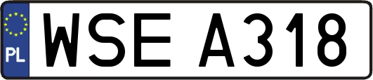 WSEA318