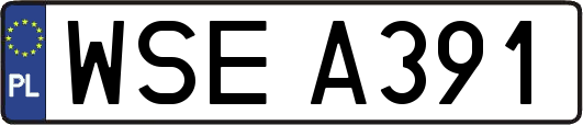 WSEA391