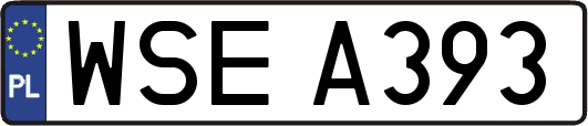 WSEA393
