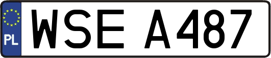 WSEA487