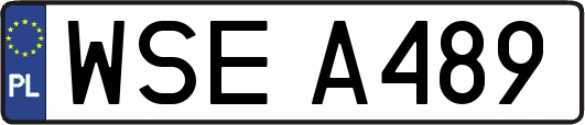 WSEA489