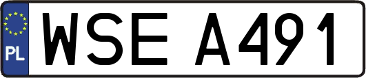 WSEA491