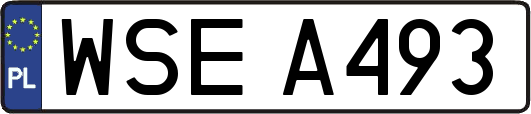 WSEA493
