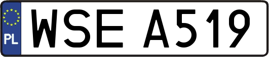 WSEA519