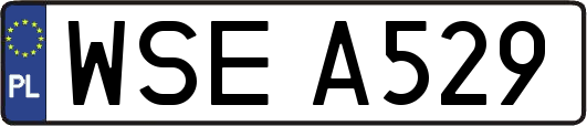 WSEA529