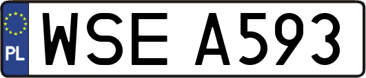 WSEA593