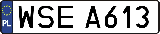 WSEA613