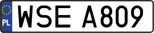 WSEA809