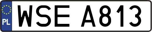 WSEA813