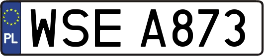 WSEA873