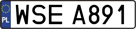 WSEA891