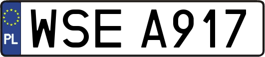 WSEA917