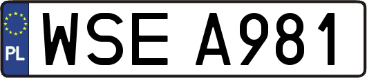 WSEA981