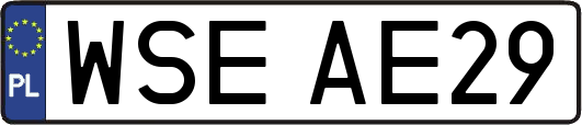 WSEAE29