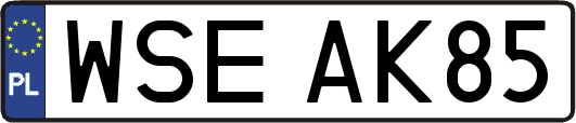 WSEAK85