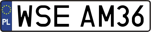 WSEAM36