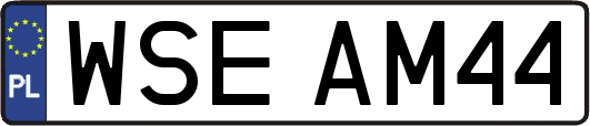 WSEAM44