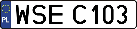 WSEC103