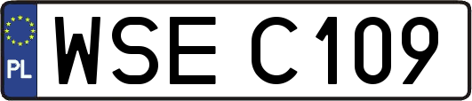 WSEC109