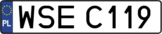 WSEC119